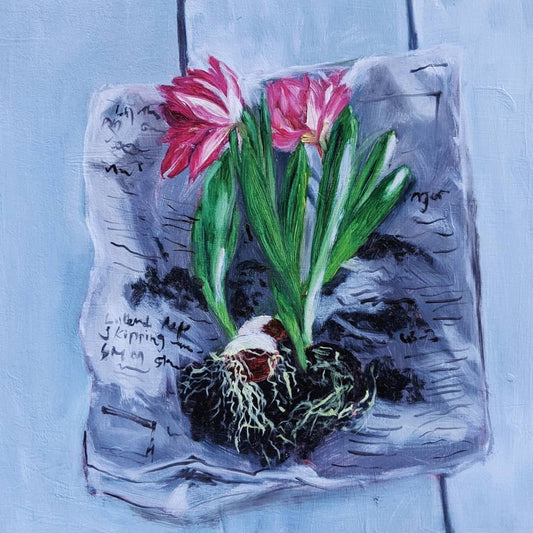 "Pink tulips and roots"